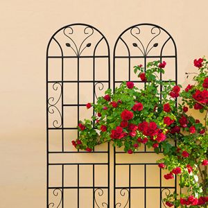 Set di 4 tralicci da giardino in metallo antiruggine neri da 220 cm x 50 cm per piante rampicanti, supporto per fiori da esterno - Product Image 3