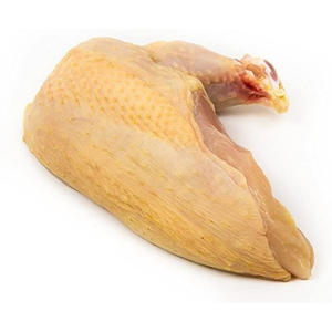 เนื้อไก่กินีแช่แข็งพรีเมียม เนื้อไก่กินีสด บรรจุสำหรับผู้ซื้อขายส่งระดับโลก - Product Image 3