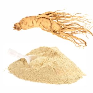 Food Grade 100% Natural Panax Ginseng Extract Powder with 10% Ginsenosides Pure Korean Ginseng Powder for Energy Health Drinks - Product Image 5