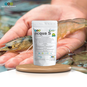 Suplemento probiótico para estanque de camarones que mejora la carga bacteriana beneficiosa para mejorar la salud de la acuicultura - Product Image 1