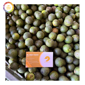 Rodajas de Piel de Naranja Seca Cítrica de Alta Calidad a Granel a Bajo Precio para Té, Cocina y Suministro de Ingredientes - Product Image 5