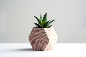 Jardinière surélevée en bois massif de grande qualité à prix raisonnable avec pieds pour la culture de légumes et d'herbes aromatiques en extérieur, sur patio ou dans un jardin. - Product Image 3