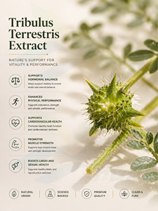 Suministro directo de fábrica HGO de extracto de Tribulus Terrestris natural puro (grado alimenticio saludable) Especificación 10:1 (extracto de proporción) - Product Image 2