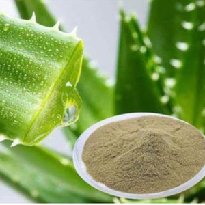 Extracto de Tallo de Aloe Vera en Polvo 99% Puro, Fabricante Patil Foods India - Product Image 1