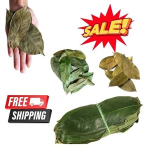 Hojas de Guanábana Secas EXPAD 500g - Preparar con Agua Caliente para Beneficios para la Salud - Product Image 6