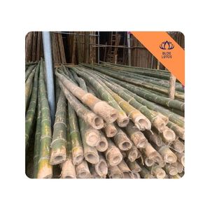 [EL MÁS VENDIDO] Estaca de Bambú Lisa Resistente para Soporte de Plantas, Varilla Moderna para Cultivo de Loto Azul en Granjas Florales de Vietnam - Product Image 1