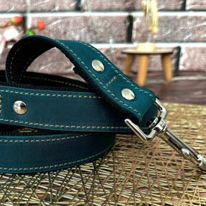 Laisse pour chien en cuir : sangle en nylon résistante, rivets, plaque nominative - Product Image 1