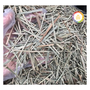 Productos Premium de Hierba Limón de Vietnam para la Industria Alimentaria - Product Image 1