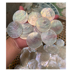 Disque de coquille de Capiz naturelle à double trou, fait main, blanc irisé, moderne, de luxe, pendentif de mariage, ornement suspendu, décoration d'intérieur, artisanat - Product Image 1