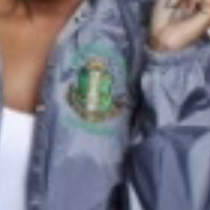 Chaqueta Bomber Plateada AKA con Letras de Chenilla Verdes Bordadas, Ropa Exterior de Moda para Mujeres de Sororidades - Product Image 3