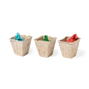 Kit personnalisable avec des graines et étui en bois écologique - Product Image 3