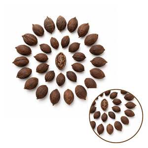 Made In Vietnam International Standard Top Selling Factory Price Delicious Black Cardamom Bulk Supply - Product Image 5