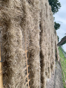 Arroz Integral Orgánico Instantáneo, Fideos Saludables de Grano Entero, Palitos de Arroz Secos Estilo Asiático, Bolsa de 10 kg de Vietnam - Product Image 6