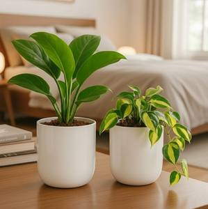 Decoración para Sala de Estar y Mesa, Elegante Maceta Pequeña para Interiores, Macetero Decorativo de Metal, Ideal para el Hogar - Product Image 2