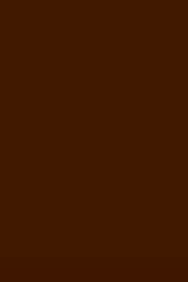 Brun foncé