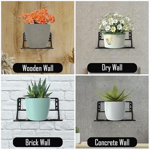 Macetero Minimalista de Pared para Plantas Verdes de Interior - Product Image 4