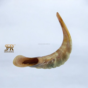 Shofar de Cuerno de Carnero Natural Pulido de Alta Calidad, Ecológico, Instrumento Religioso Judío, Hecho a Mano, Cuerno Tradicional para la Oración - Product Image 1