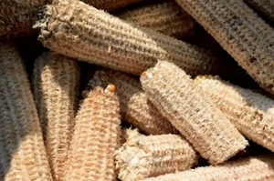 Briquettes de maïs en énergie renouvelable, combustible biomasse à combustion propre pour barbecue et chauffage, écologiques et économiques, directement de l'usine - Product Image 2