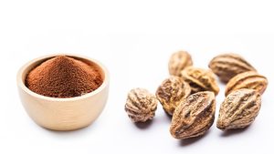 Poudre d'herbes Terminalia Chebula Haritaki pour le bien-être ayurvédique traditionnel, soins naturels à base de plantes et soutien quotidien à la santé - Product Image 3