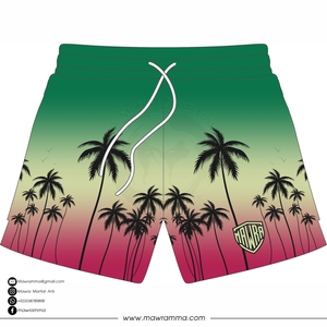 Mawra New Mesh Shorts HIgh Quality Custom Sublimated Logo Summer <b>Outdoor</b> Gym Training Mesh Shorts For Unisex - Product Image 5