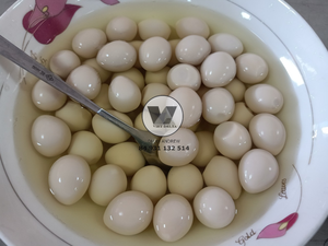 BEST SELLER All Natural 15oz Tinned Quail <b>Eggs</b> Cooked Peeled Quail <b>Egg</b> Fast Prepare for Asian Hotpot Soup Baozi Braised Meat - Product Image 6