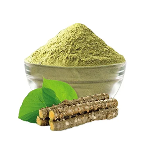 Poudre de Giloy de qualité supérieure 100 % naturelle, qualité alimentaire, ingrédient en vrac, poudre de Giloy à mailles fines, qualité export de l'Inde - Product Image 3