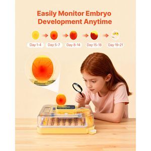 ตู้ฟักไข่ 48 ฟอง พร้อมไฟ LED ตรวจสอบไข่ ควบคุมความชื้นอัตโนมัติ ระบบพลิกไข่อัตโนมัติ มุมมอง 360 องศา จอแสดงผลชัดเจน ควบคุมอุณหภูมิได้ - Product Image 3