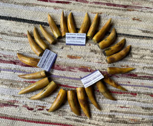 ปลายเผาขัดเขาควายธรรมชาติเป็นมิตรต่อสิ่งแวดล้อม - Product Image 3