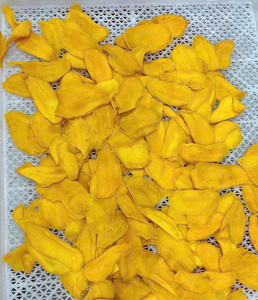 Rodajas de Mango Deshidratado Amarillo, Sabor Dulce, Forma Ovalada, Snack de Fruta Natural, Listo para Comer, Paquete a Granel, Vietnam - Product Image 2