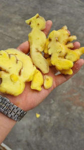 Offre Spéciale : Gingembre Congelé de Qualité Supérieure, Produit en Usine au Vietnam, Emballage Personnalisé, Meilleures Ventes - Product Image 5