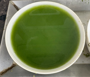 Matcha Japonés Premium en Polvo – Paquete a Granel de 10 kg para Uso Comercial HRD 1st USK - Product Image 1