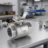 Robinet à tournant sphérique fileté femelle manuel de l'acier inoxydable 304/316 de plate-forme élevée PN10-100 l'OEM de médias de l'eau personnalisable