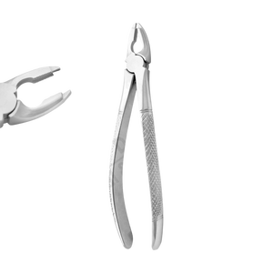 Fórceps de agarre profundo Fig 35 Premolares superiores Fórceps de extracción Premium Patrón inglés Juego dental Instrumentos quirúrgicos Pakistán - Product Image 1