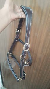 Fronture en cuir de haute qualité pour l'entraînement et l'équitation quotidienne des chevaux, disponible pour la vente en gros - Product Image 2