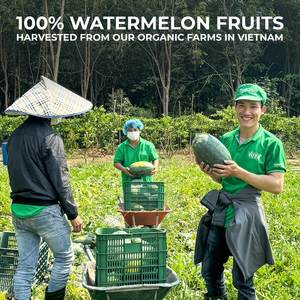 Boisson de jus de pastèque pur de 490ml sans sucre ajouté, échantillon gratuit, marque privée, fournisseurs en gros (OEM, ODM) - Product Image 5