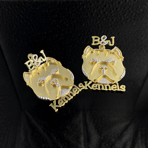 Colgante Personalizado de Aleación con Diseño de Hip Hop Cristiano, con Diamantes CZ, Estilo Escudo Real, Bañado en Plata - Product Image 1