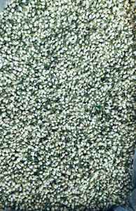 Capullos de jazmín secos para vaporización y baño, productos naturales de bienestar, pétalos de flores secas para uso en spa, venta al por mayor de calidad. - Product Image 5