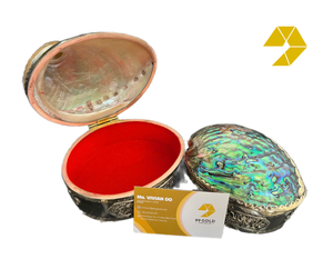 Boîte à bijoux en nacre et abalone scintillante, avec intérieur en velours rouge, pour l'organisation et la présentation de bagues et colliers, Modèle 2026 - Product Image 1