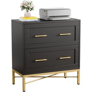 Double <b>Drawer</b> <b>Filing</b> Cabinet Printer Stand and Living Room Storage Cabinet - Product Image 6