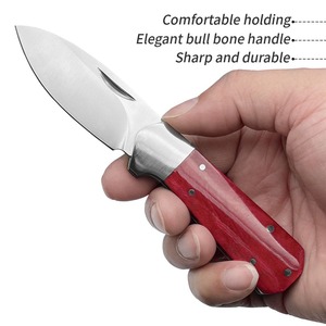 Customizable Aus-8 D2 Camp <b>Knife</b> with Stainless Steel Folding Blade and <b>Bone</b> <b>Handle</b> for Survival Industrial Use OEM Support - Product Image 3