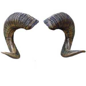 Shofar de Cuerno de Carnero Pulido Natural Kosher, Tamaño Personalizado, Material Orgánico para Fines Religiosos, Decoración Náutica para el Hogar - Product Image 2