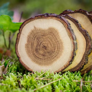 Sous-verres en bois avec support et ensemble de bâtonnets à café en bois, sous-verres en bois naturel de qualité supérieure pour boissons chaudes et froides par Universal - Product Image 1