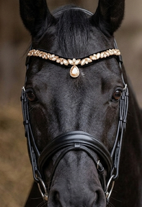 Élégante bride de cheval en cuir avec mèche frontale en cristal champagne doré en forme de goutte, à fixation rapide, pour équipement équestre scintillant - Product Image 6