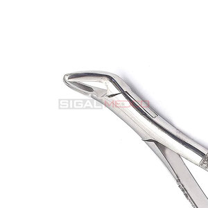 Premium Dental Extracting Forceps #151 Stainless Steel Tooth Extraction Forceps Lower Teeth Surgical Dental Medic Instruments - Product Image 2