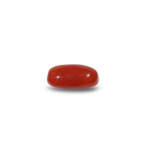 Natural Red Coral Beads 6.9 Carat Certified Wholesale Quality - Product Image 3
