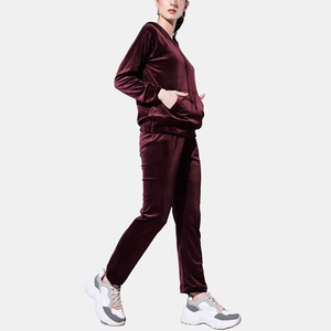Autumn 2 Piece Velour Set Crop <b>Top</b> Velvet pink Hoodie Two Piece Pants Jogging Set Velour Tracksuit for Women Hoodie Track Suit - Product Image 3
