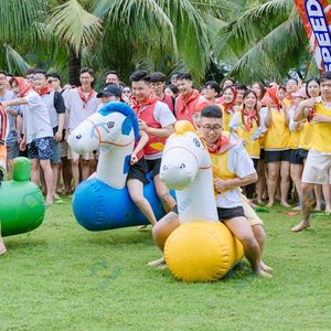 Cheval gonflable pour team building, Vietnam, PVC, garantit la sécurité en transport, toutes saisons, Thuy Linh, 5-10 jours - Product Image 4