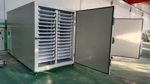 Déshydrateur à pompe à chaleur tout-en-un haute capacité pour fruits légumes poisson et viande avec moteur à noyau et prix d'usine PLC - Product Image 2