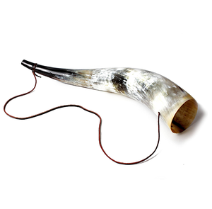 Corne de buffle naturelle de forme naturelle, artisanat viking avec support, style poli, directement d'Inde, corne à boire - Product Image 5