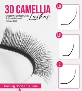 ขนตาปลอม Charmlash แบบขายส่ง 5 มิติ 6 มิติ แบบพัดสำเร็จรูป งอน CC ขนาด 0.07 มม. พัดขนตาแบบแคบ ขนตาปลอมแบบสั่งทำได้ หลายแบบ หลายงอน ทำด้วยมือ - Product Image 3